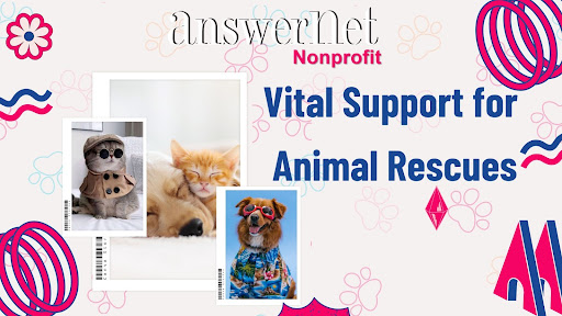 Pixel Bloom Solution's Dedication to Supporting Animal Rescues with Vital Support